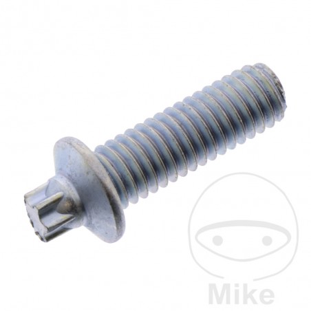 Tornillo para cerradura de encendido OEM 705.15.95