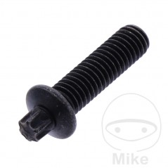 Tornillo para cerradura de encendido OEM 705.15.97