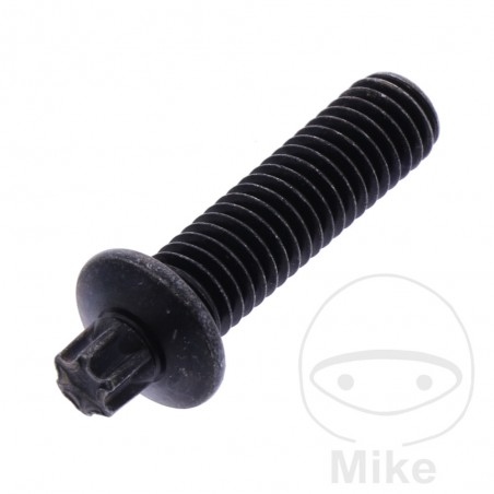 Tornillo para cerradura de encendido OEM 705.15.97