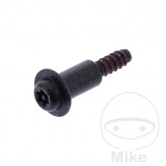 Screw for ignition lock OEM 705.16.02