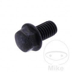 Sprocket fixing screw OEM 726.08.18