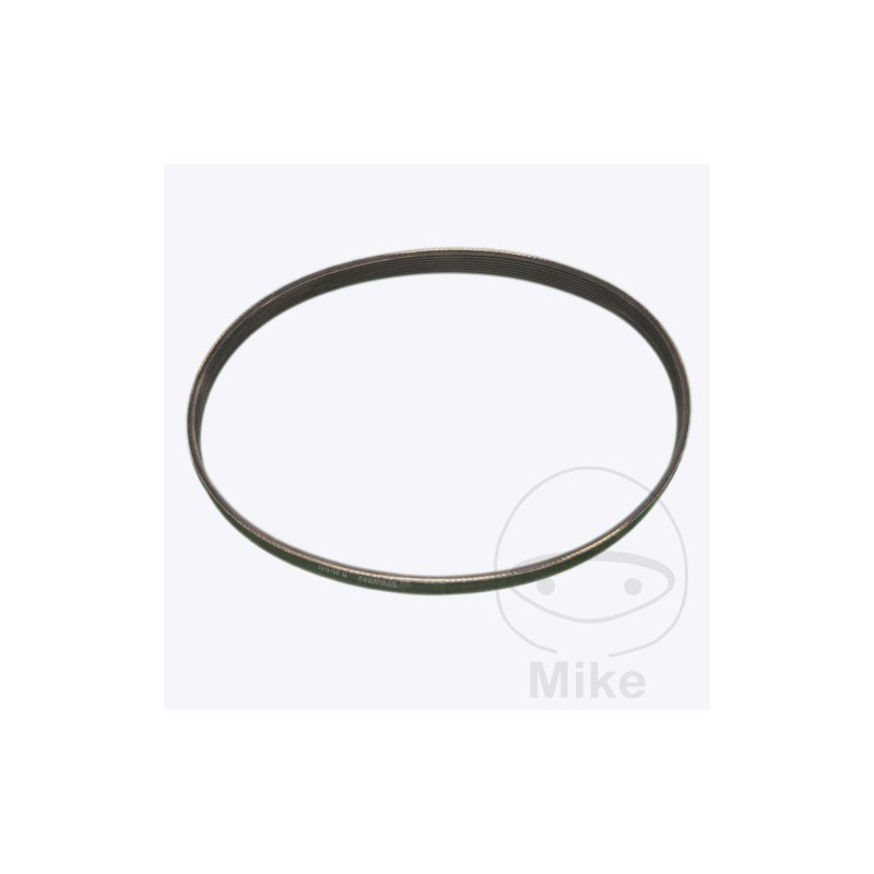 BUTLER BELT, TRANSMISSION 412103 KENDO ERGO 412137 4035000 677.07.21