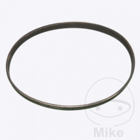 BUTLER BELT, TRANSMISSION 412103 KENDO ERGO 412137 4035000 677.07.21