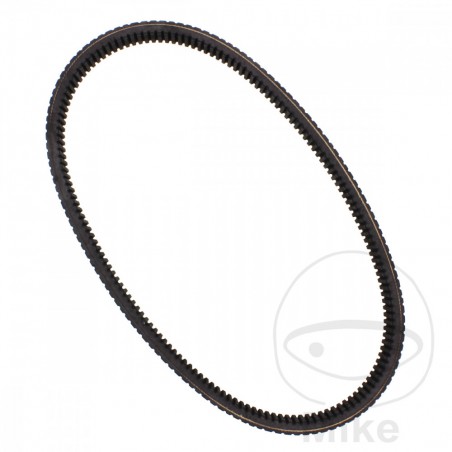 DAYCO CORREA DE TRANSMISION 30.0 X 1041 HIGH PERFORMANCE 755.01.83