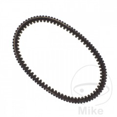 DAYCO BELT, TRANSMISSION 29.6 X 848 EXTREME TORQUE 755.01.94