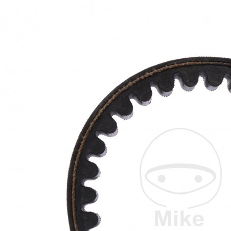 MITSUBOSHI CORREA DE TRANSMISION 22.7 X 893 755.02.03