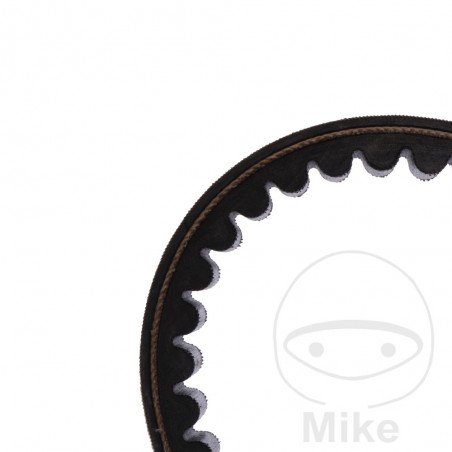 MITSUBOSHI BELT, TRANSMISSION 22.5 X 815 755.02.06