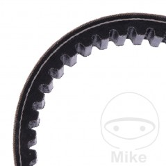 MITSUBOSHI BELT, TRANSMISSION 22.5 X 919 755.02.09