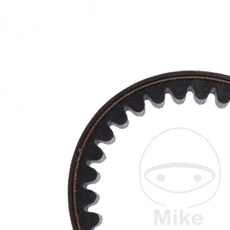 MITSUBOSHI BELT, TRANSMISSION 23.0 X 1006 755.02.29