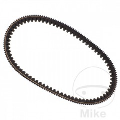 MITSUBOSHI BELT, TRANSMISSION 30.7 X 876 755.02.89