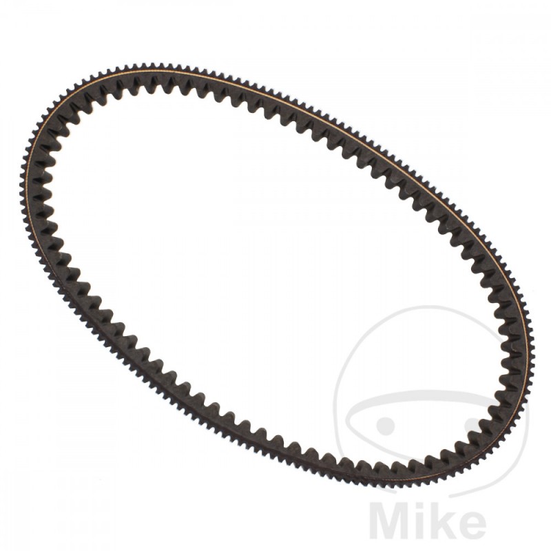 MITSUBOSHI BELT, TRANSMISSION 30.7 X 876 755.02.90