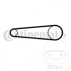 CONTINENTAL BELT, TRANSMISSION 182 34 MM 755.03.28