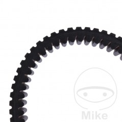 GATES CORREA DE TRANSMISION G-FORCE 755.03.37