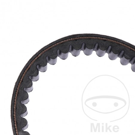MITSUBOSHI BELT, TRANSMISSION 24 X 1003 755.04.95