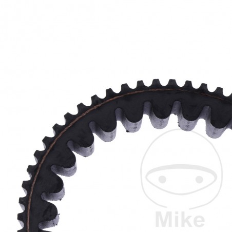 MITSUBOSHI BELT, TRANSMISSION 25 X 923 755.05.06