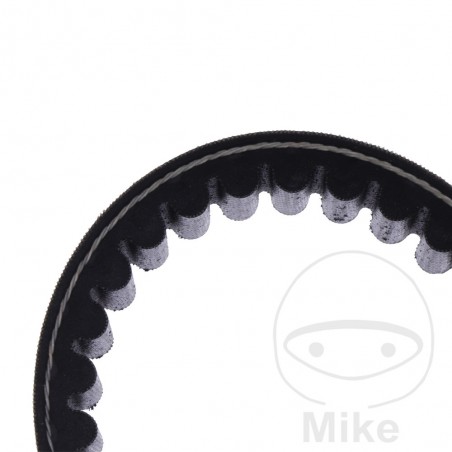 MITSUBOSHI BELT, TRANSMISSION 24 X 933 755.05.07