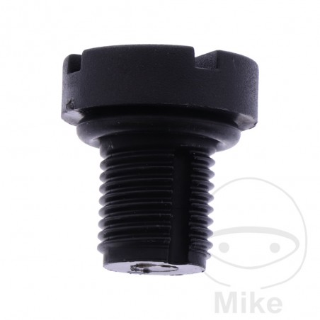 JMP Pack 10 tornillos de rosca para radiador 481.11.60