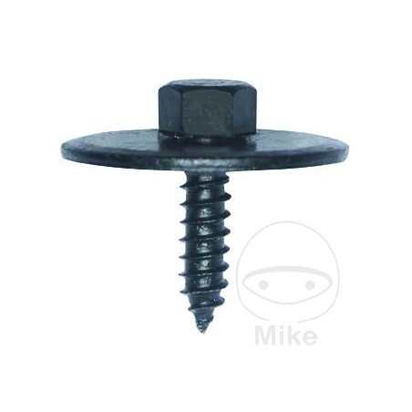 JMP Pack of 10 screws 7976 481.04.22