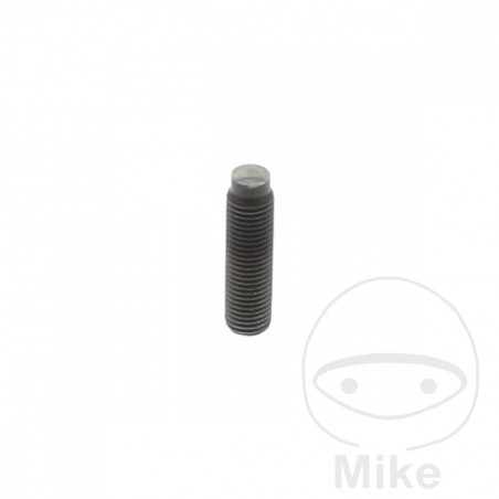 Tornillo ajuste de vávulas OEM 717.07.34