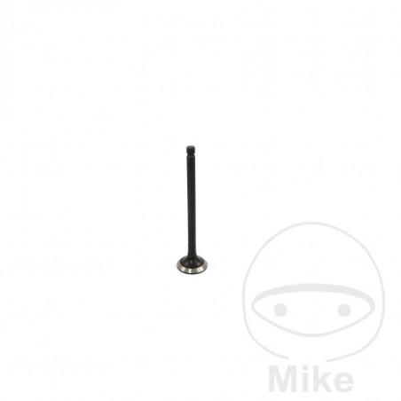 JMP Scape valve 747.13.14