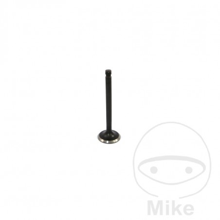 JMP Scape valve 747.13.22