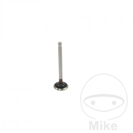 JMP Scape valve 747.13.24