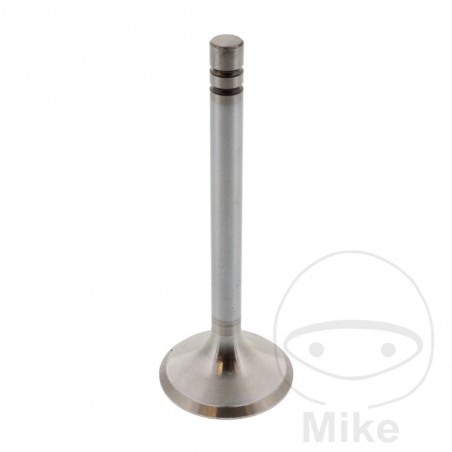 SIEBENROCK Válvula de escape 747.13.39