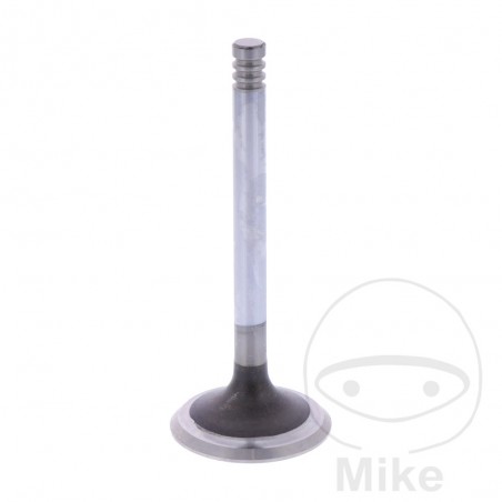 SIEBENROCK Válvula de escape 747.13.43