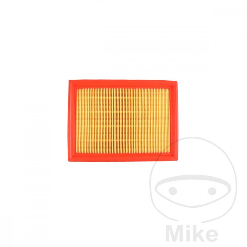 ATHENA Variator Air Filter 723.49.66