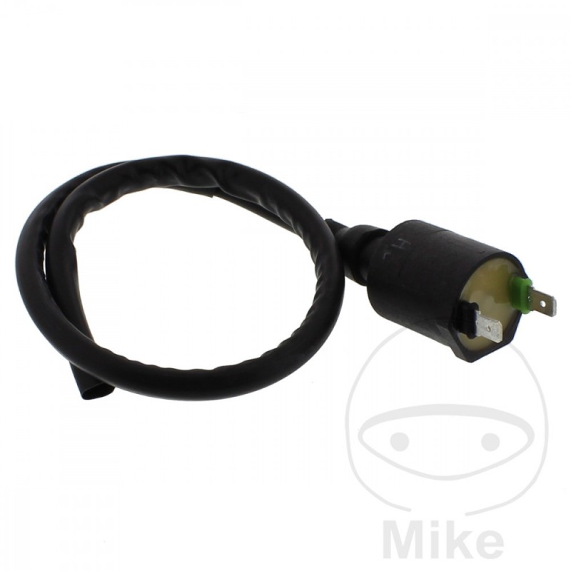 IGNITION COIL 12V ALTN:7003080 700.05.43