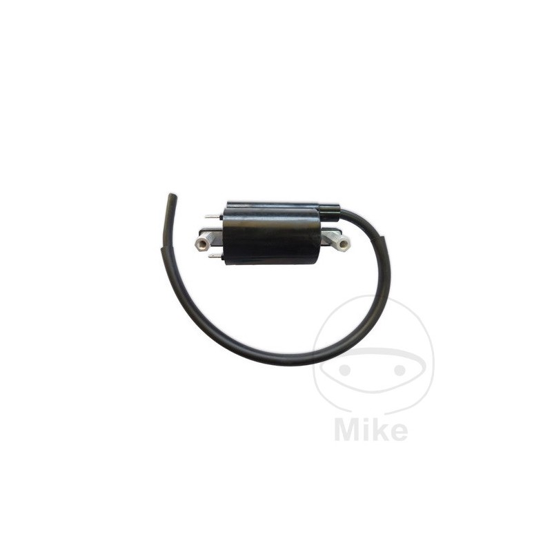IGNITION COIL 12V 700.08.15