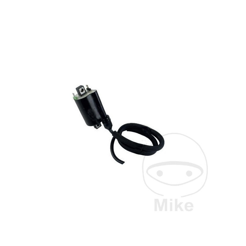 BOBINA DE ENCENDIDO 12V ALTN: 7002848 700.09.00