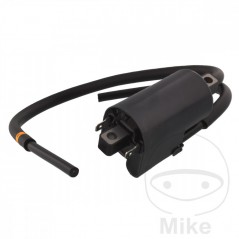 left ignition coil OEM ALTN: 7003100 700.15.13