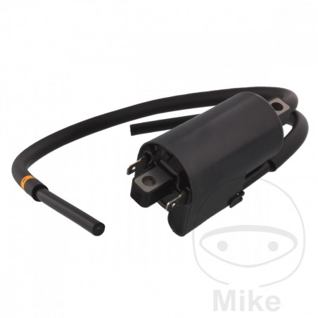 left ignition coil OEM ALTN: 7003100 700.15.13