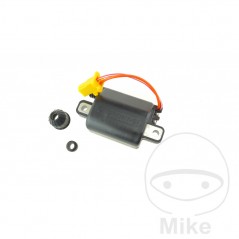 IGNITION COIL 12V OEM 700.15.66