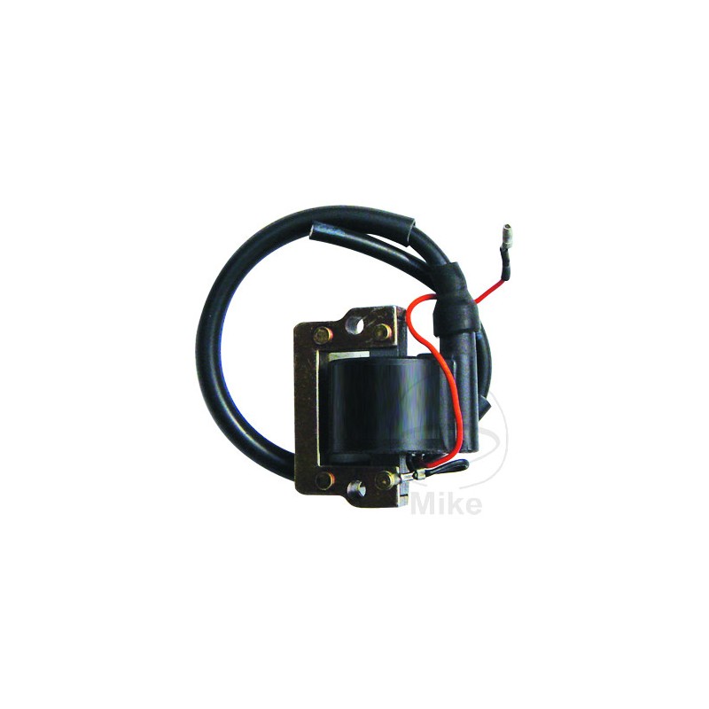 IGNITION COIL 6V ALTN: 7007016 700.16.37