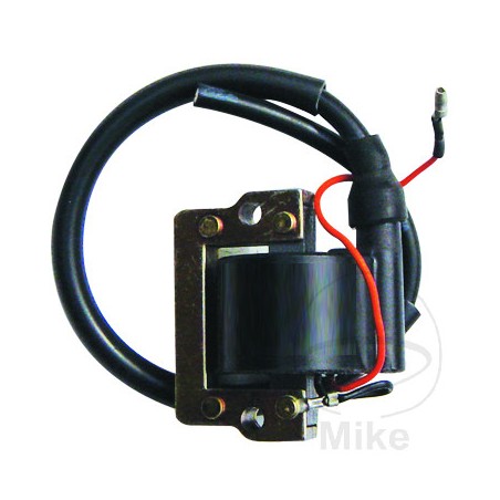 IGNITION COIL 6V ALTN: 7007016 700.16.37