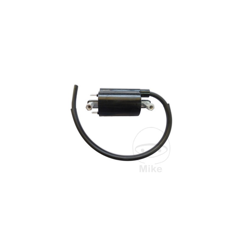 BOBINA DE ENCENDIDO 12V 700.16.43