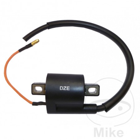 DZE BOBINA DE ENCENDIDO 12V ALTN: 7003086 700.16.44