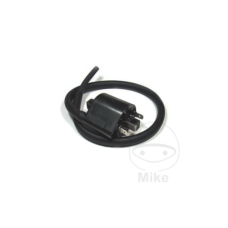 TOURMAX BOBINA DE ENCENDIDO 12V ALTN:7003094 700.22.80