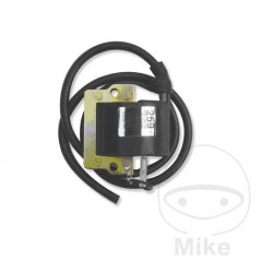 IGNITION COIL 12V 700.24.21