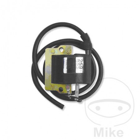 BOBINA DE ENCENDIDO 12V 700.24.21