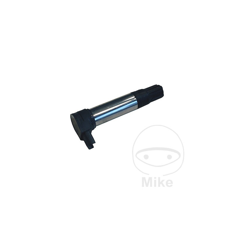 BERU ignition coil with spark plug ZS385 700.25.20