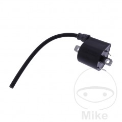 BOBINA DE ENCENDIDO OEM 700.27.83