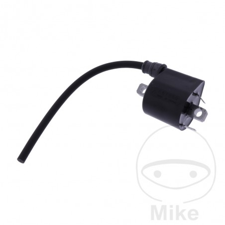 BOBINA DE ENCENDIDO OEM 700.27.83