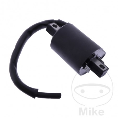 JMP IGNITION COIL 12V ALTN: 7000006 700.30.91