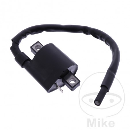 JMP IGNITION COIL 12V ALTN: 7000008 700.30.92