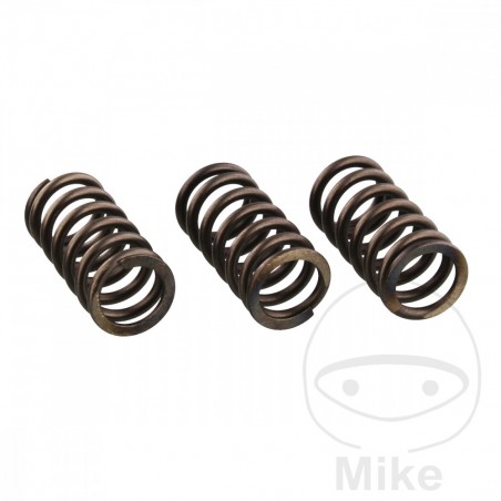 EBC reinforced clutch springs 745.05.49
