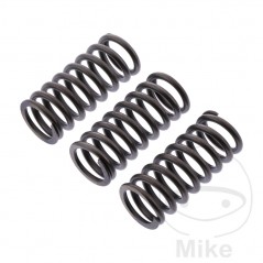 EBC reinforced clutch springs 745.07.68