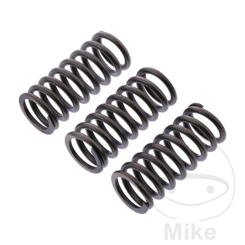 EBC reinforced clutch springs 745.07.68